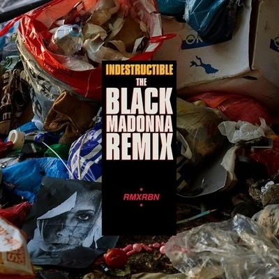 Indestructible (The Black Madonna Remix) 專輯 JNL/The Black Madonna