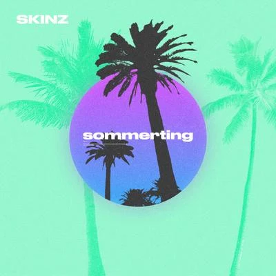 Sommerting 專輯 The Recipe/Skinz