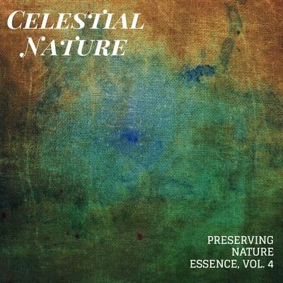 Celestial Nature - Preserving Nature Essence, Vol. 4 專輯 Rain Sounds For Sleep/Zarobi/Natural Rain Sounds for Sleeping