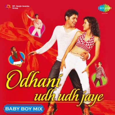 Odhani Udh Udh Jaye Baby Boy Mix 专辑 Sanjay Sawant/Vaishali Samant