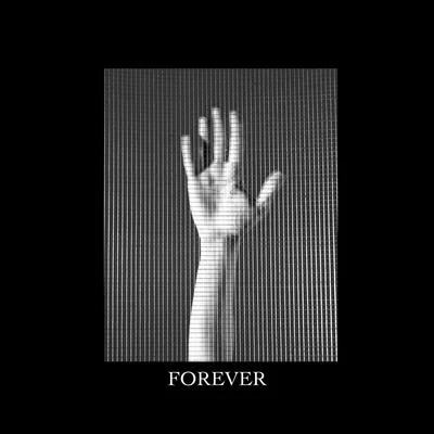 Forever 专辑 Vaults/Flawes