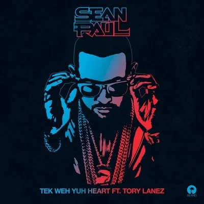 Tek Weh Yuh Heart 專輯 Sean Paul