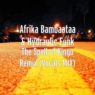 Afrika BambaataaUB40 The Spell of Kingu (Remix) [Vocals Mix]