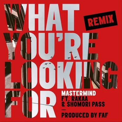 Rakaa What Youre Looking For (Remix) [feat. Rakaa & Shomori Pass]