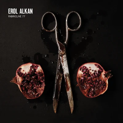 FABRICLIVE 77: Erol Alkan 专辑 Claro Intelecto/Gerry Read/Unbroken Dub