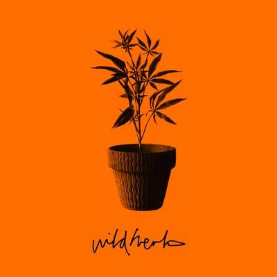 Wild Herb 專輯 Ramson Badbonez/MaTa/Flu/Jehst/Mongo