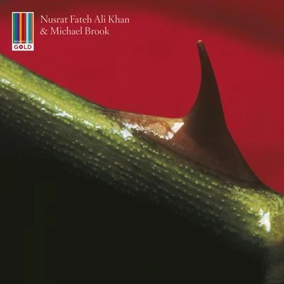 Night Song (Real World Gold) 專輯 Nusrat Fateh Ali Khan