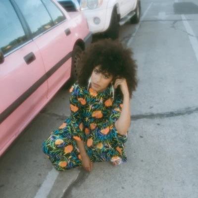 Birdie Bees 專輯 Aaron Miller/Gavin Turek/Miami Horror