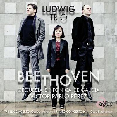 Beethoven 专辑 Beethoven/Franz Schubert/Bach/Liszt/Franz Liszt