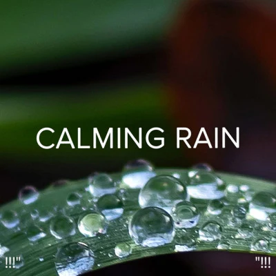 !!! Calming Rain !!! 专辑 Binaural Beats Sleep/Lucid Dreaming Music/BodyHI