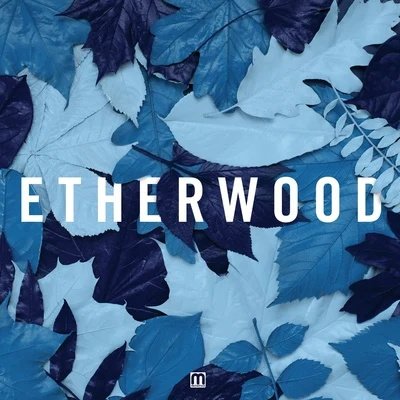 Blue Leaves 專輯 Etherwood