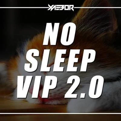 No Sleep VIP 2.0 專輯 XaeboR