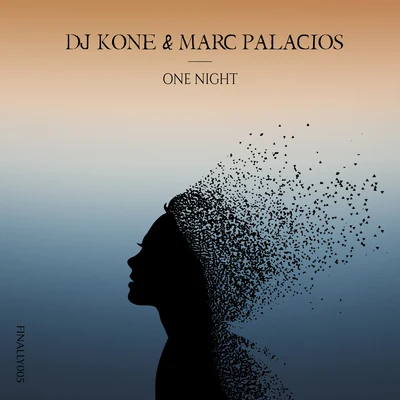 One Night 專輯 Dj Kone