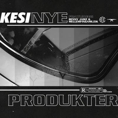 Nye Produkter 专辑 Stepz/Kesi/Benny Jamz