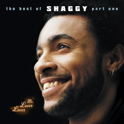 ShaggyMaffioPedro CapóAfro BDarkielDalex Mr Lover Lover - The Best Of Shaggy... (Part 1)