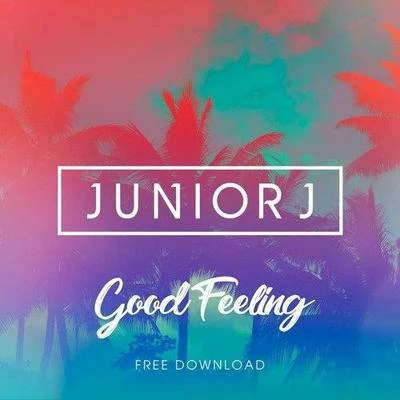 Good Feeling 专辑 Ganzfeld Effect/Junior J