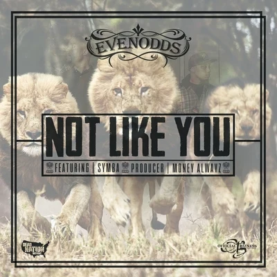 Not Like You (feat. Symba) - Single 專輯 Evenodds