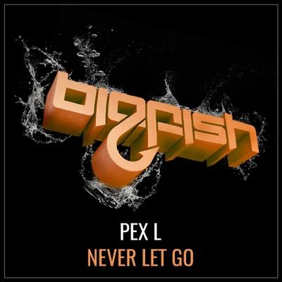 Never Let Go 專輯 Pex L