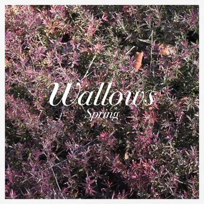 These Days 专辑 Solomonophonic/Wallows/Remi Wolf