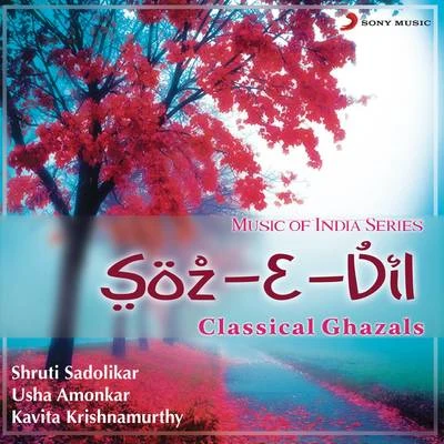 Soz-E-Dil 專輯 Mg Srinivas/Kavita Krishnamurthy/Babul Supriyo