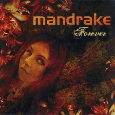 Forever 專輯 Mandrake