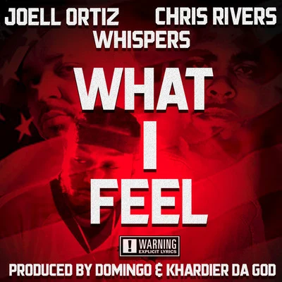 What I Feel 专辑 Stoupe/Joell Ortiz