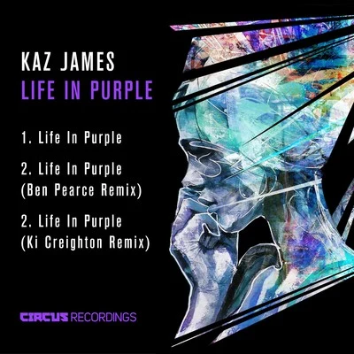 Life in Purple 专辑 Kaz James