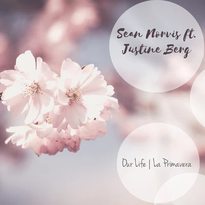 Sean Norvis Our Life | La Primavera (Remixes)