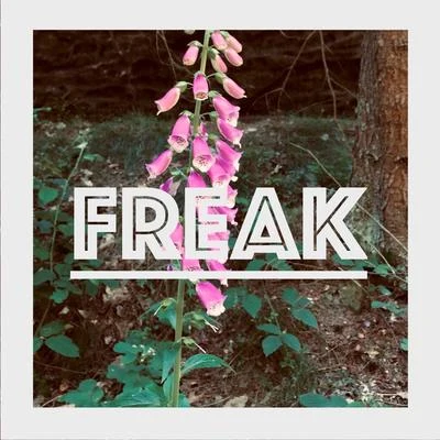 Freak 專輯 Hitmaker/Lexa/MC Kevinho