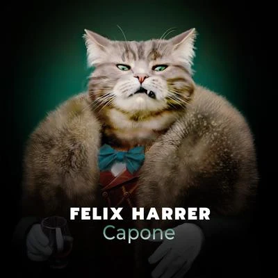 Felix HarrerSunny MarleenJay Frog Capone (Extended Mix)