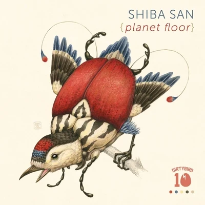 Shiba San Planet Floor