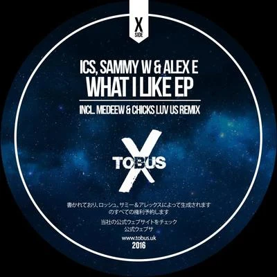 What I Like EP 專輯 Sammy W & Alex E