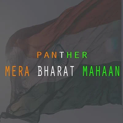 Mera Bharat Mahaan 专辑 El-P/The Plastic Constellations/Panther/The Dodos/Ola Podrida