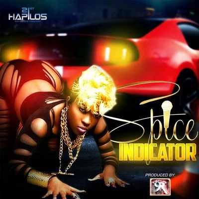 Indicator 专辑 Ninja Man/Spice/I Octane