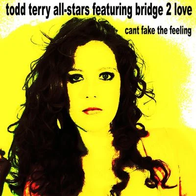 Can&#x27;t Fake the Feeling 专辑 Todd Terry All Stars