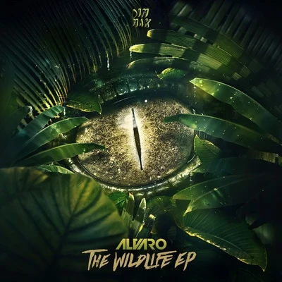 The Wildlife EP 專輯 Alvaro