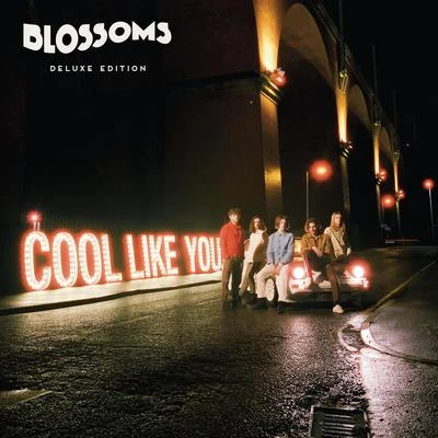 Cool Like You (Deluxe) 專輯 Blossoms/Chase & Status