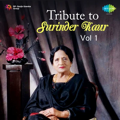 Tribute To Surinder Kaur Vol 1 專輯 Surinder Kaur