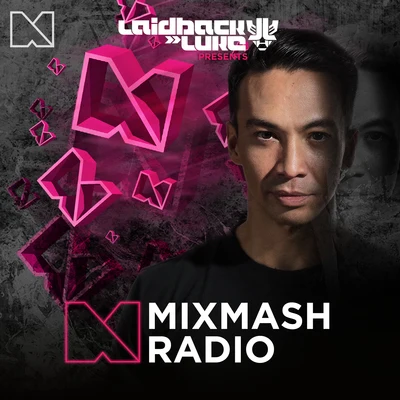 Mixmash Radio 254 專輯 Laidback Luke/Steff da Campo