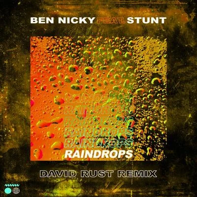 Raindrops (David Rust Remix) 專輯 Ben Nicky