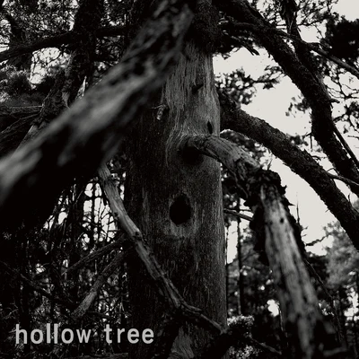 Hollow Tree 專輯 Mr. Tophat/Jelly Crystal