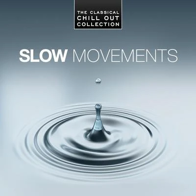 Tbilisi Symphony Orchestra Slow Movements - The Classical Chill Out Collection