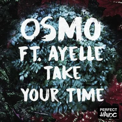 Take Your Time (feat. Ayelle) 专辑 OSMO