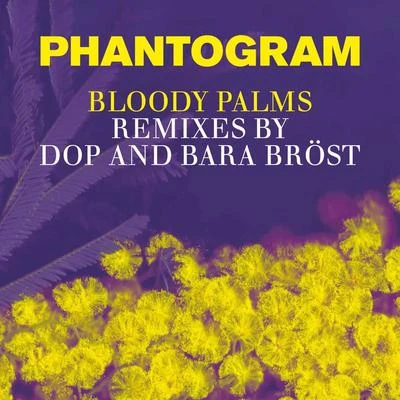 Bloody Palms (Remixes by dOP and Bara Bröst) 專輯 Phantogram