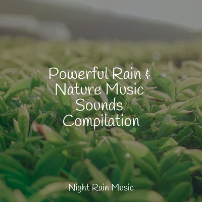 Powerful Rain & Nature Music Sounds Compilation 專輯 Sounds Of Nature: Thunderstorm/Binaural Beats Brain Waves Isochronic Tones Brainwave Entrainment/FX & Effects