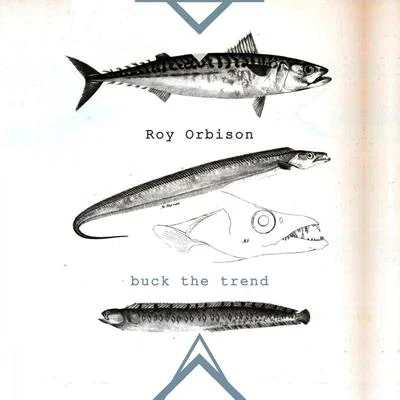 Buck The Trend 专辑 Johnny Cash/Big Star/David Shrigley/Donovan/Novi Singers