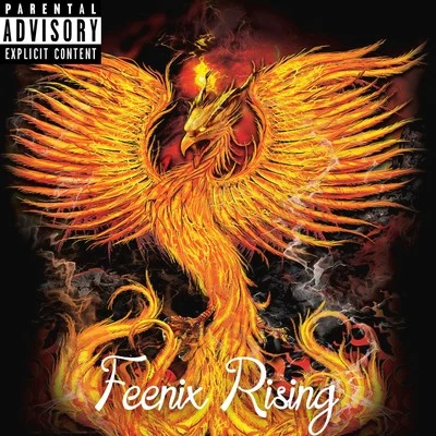 Feenix Rising 专辑 Parks Thomson/The Feenix/Twisted Insane