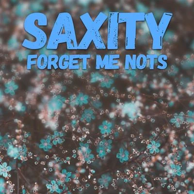 Forget Me Nots 专辑 BoyBoyBoy/Saxity/Bonny Lauren