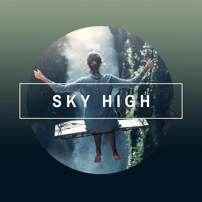 Sky High 專輯 Nemesis