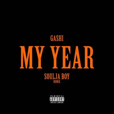 My Year REMIX 專輯 GASHI